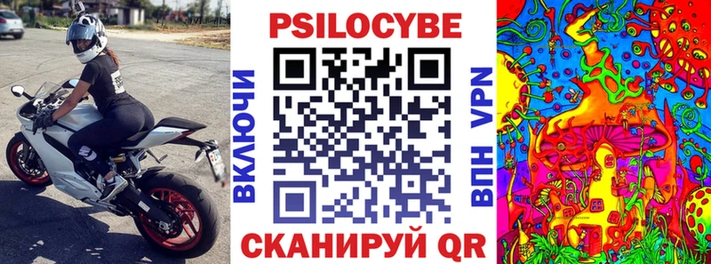 Псилоцибиновые грибы мицелий  продажа наркотиков  Катав-Ивановск 